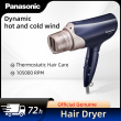 Panasonic Hair Dryer 1700W Negative Ion Hair Care Hot & Cold Dual Outlet 6 Modes Diffusion Nozzle Home Salon Hair Dryer