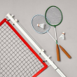 Hearth & Hand Magnolia Outdoor 42-Piece Badminton Set Adults Ages 8+ 2-4 Players