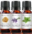 10 mL Essential Oils - 100% Pure and Natural - Therapeutic Grade - Free Shipping