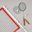 Badminton Set - Hearth & Hand with Magnolia