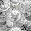 Random Year - 1 oz Silver 999 Fine Silver BU - Mint of Our Choice