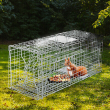 Live Animal Cage Trap 31" X 11.4" X 12.4" Humane Cat Trap Cats Squirrels Mouse