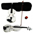 4/4 Full Size Acoustic Violin Fiddle Set with Case Bow Rosin for Student Adult