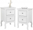 Set of 2 Bedroom Nightstand Modern Bedside Table End Table with 2 Drawers