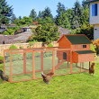 Solid Fir Wooden Backyard Chicken Coop Hen House with Attached Nesting Cube