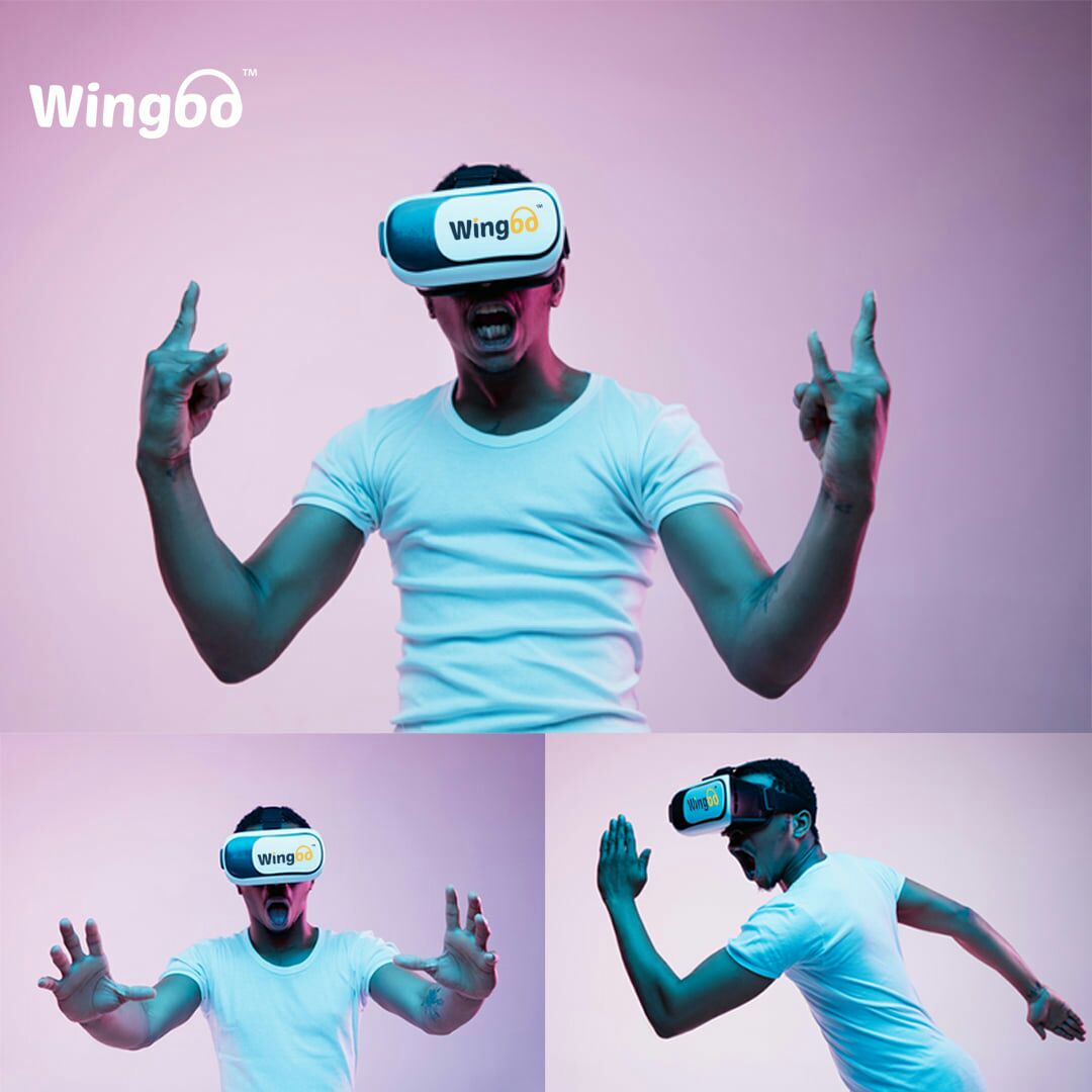 Wingoo VR